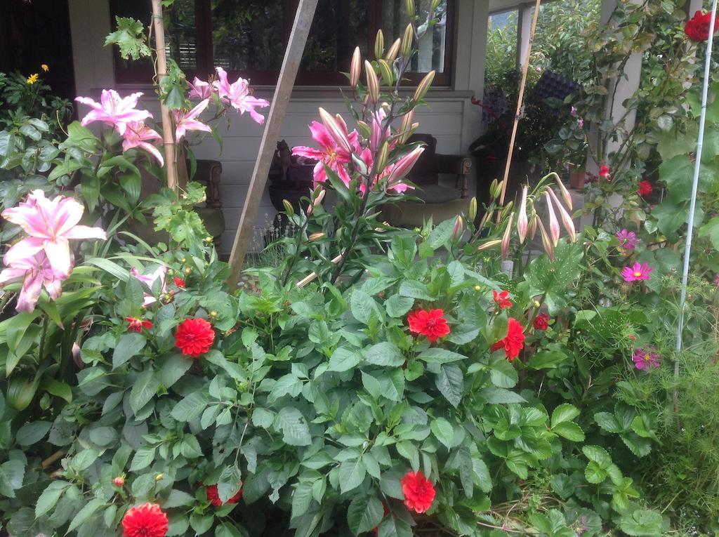 Kippilaw House Bed & Breakfast Picton Bagian luar foto